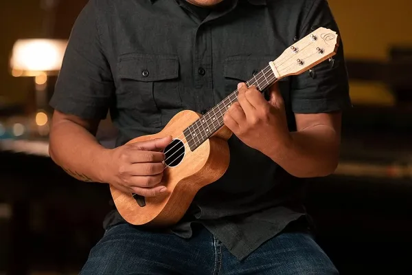 Ortega Guitars Soprano Ukulélé acoustique - Timber Series